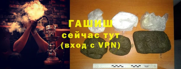 индика Осташков