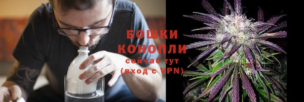 прущие грибы Осинники