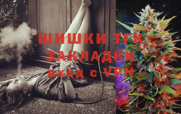 прущие грибы Осинники