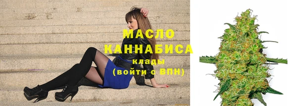 индика Осташков