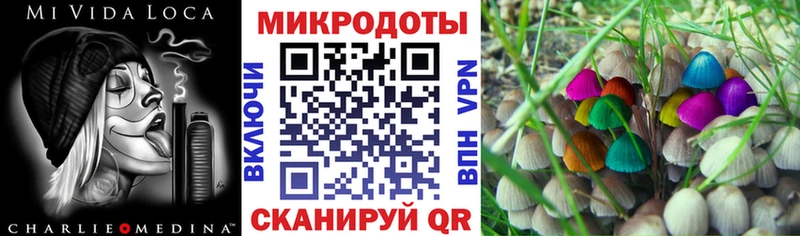 Псилоцибиновые грибы Psilocybine cubensis  Ак-Довурак 